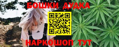 прущие грибы Обь