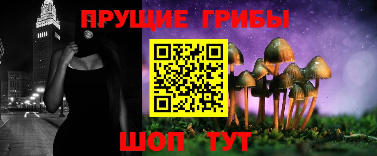 Галлюциногенные грибы мицелий  Вход с VPN  закладка  Сертолово 